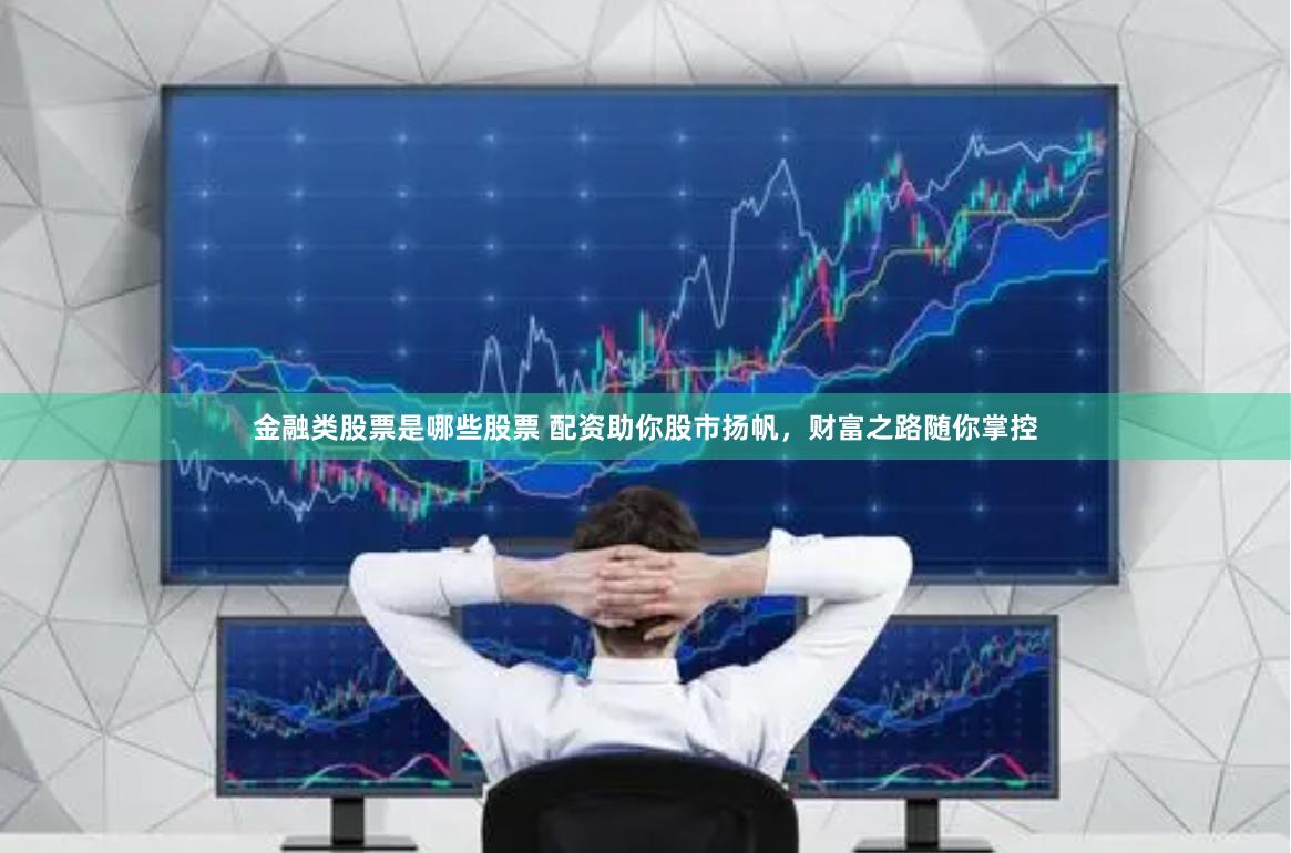 金融类股票是哪些股票 配资助你股市扬帆，财富之路随你掌控